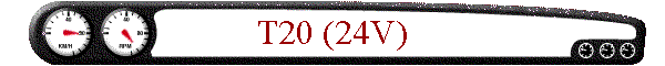 T20 (24V)