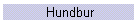 Hundbur