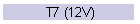 T7 (12V)