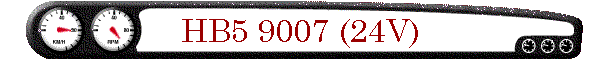 HB5 9007 (24V)