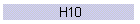 H10