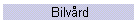 Bilvrd