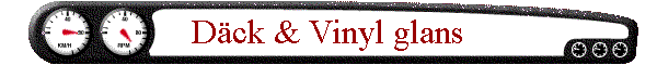 D�ck & Vinyl glans