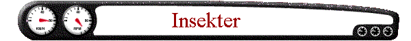 Insekter