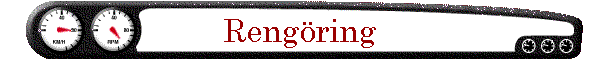Reng�ring