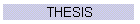 THESIS