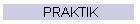 PRAKTIK