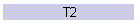 T2