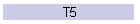 T5